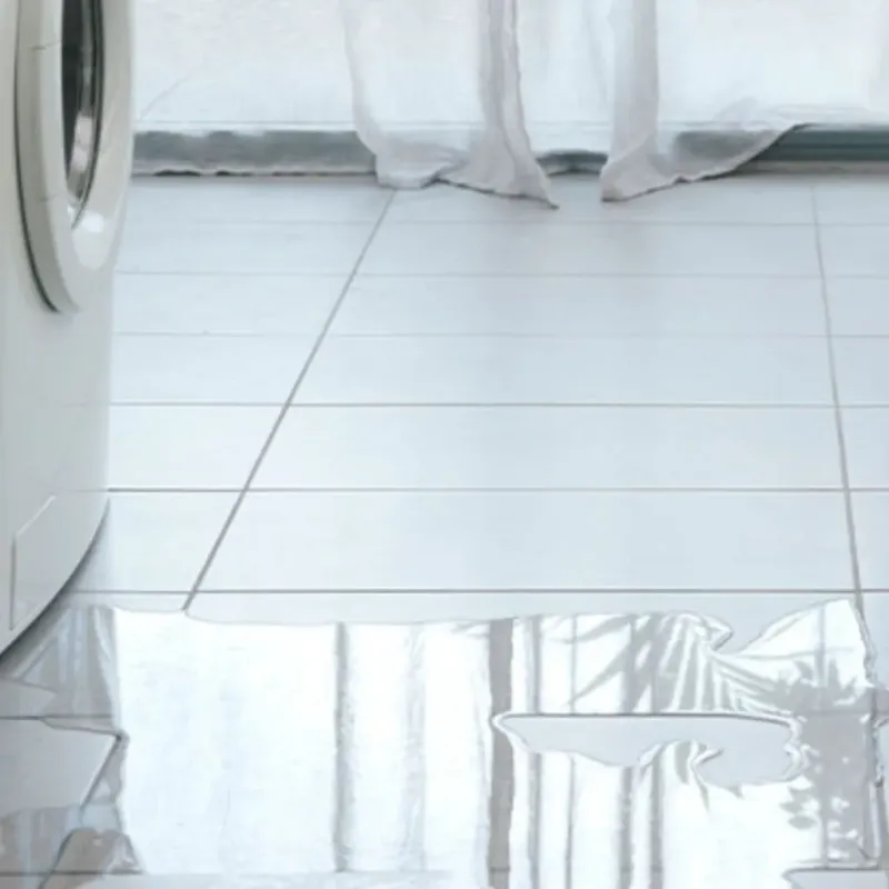 Appliance Leak Cleanup in North Shore, VA