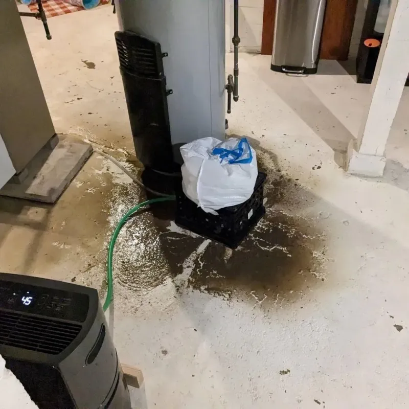 Sewage Backup Cleanup Service in North Shore, VA